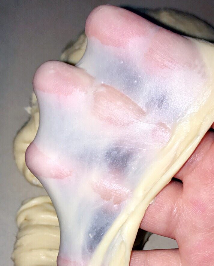 椰蓉蔓越莓圣诞花环面包,面团能够拉出不易破,而薄得膜,完全扩展即可。