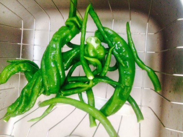 白毛肚爆炒青椒,菜椒,尖椒各一些