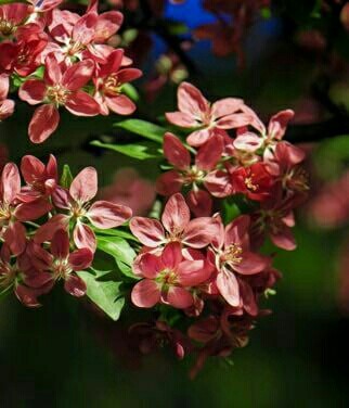 白菜炒猪肉,你昨天，募股，