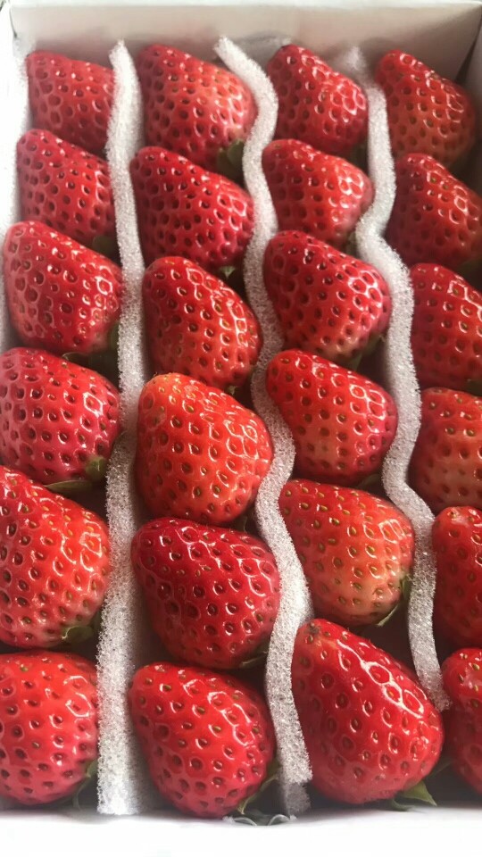 水果牛奶巧克力圈,加盐洗，然后切块，苹果，<a style='color:red;display:inline-block;' href='/shicai/ 590'>木瓜</a><a style='color:red;display:inline-block;' href='/shicai/ 610'>香蕉</a>都没拍，一样洗干净切块