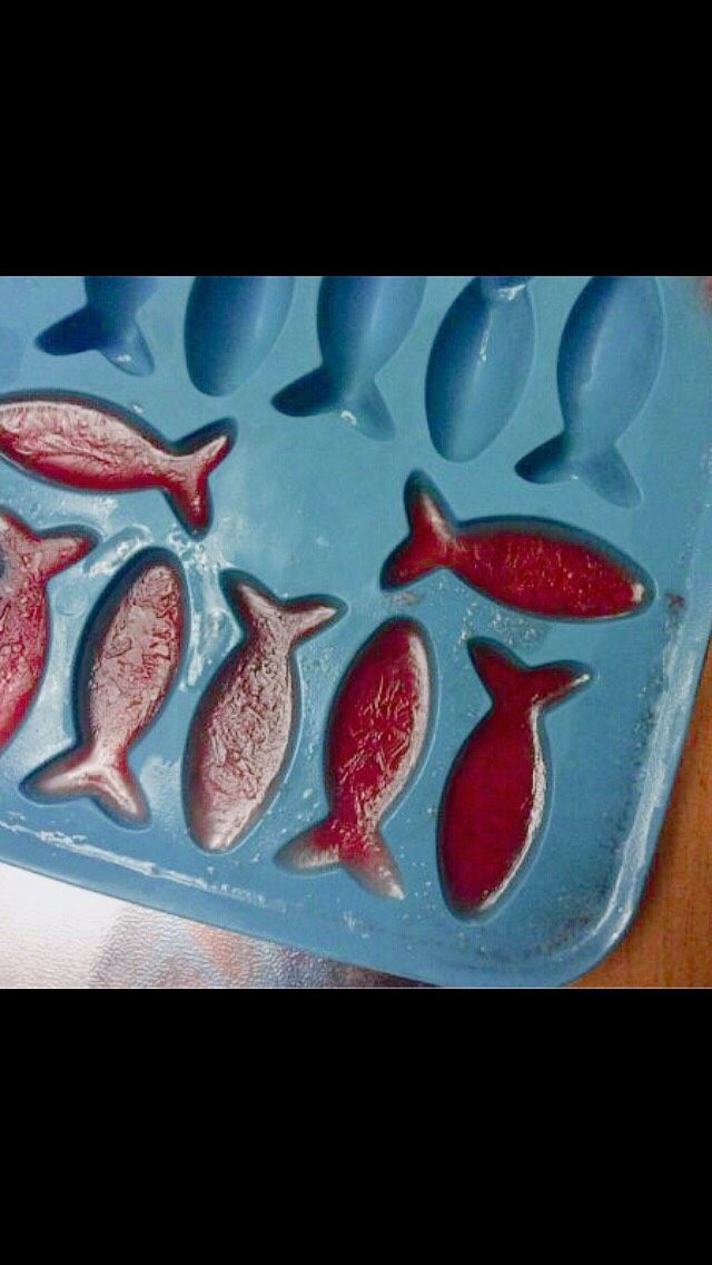 西瓜小鱼冰