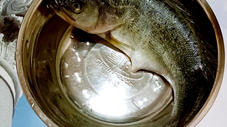 双蒜酱烧鱼（快手菜），绝对好吃,准备1条<a style='color:red;display:inline-block;' href='/shicai/ 401'>鱼</a>，收拾干净，沥干水备用（什么<a style='color:red;display:inline-block;' href='/shicai/ 401'>鱼</a>都可以）