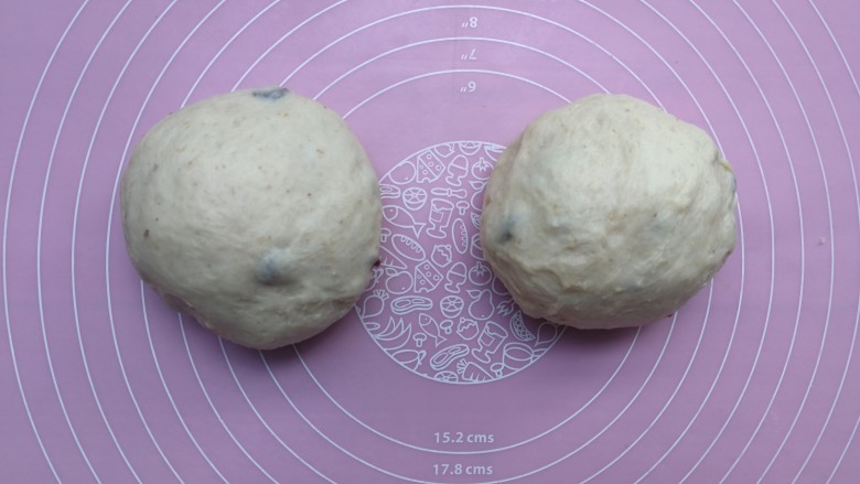 蔓越莓酸奶软欧,分成两份,揉圆后放置松弛10分钟