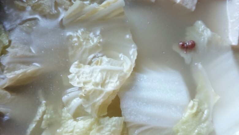 文师傅炒排骨,把排骨捞出,下入豆腐、白菜煲汤,加入盐、白糖、胡椒粉、鸡粉等调味。