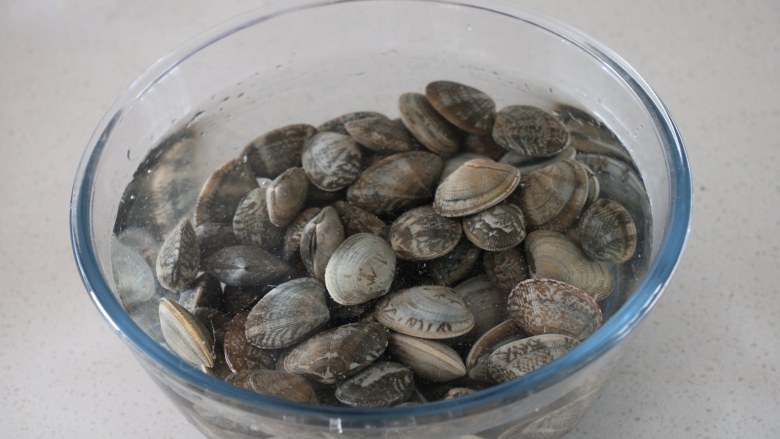 深夜食堂之酒蒸蛤蜊,清水中加少许盐,蛤蜊放入盆中吐沙。