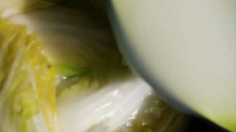 侗乡酸白菜,往白菜上面均匀洒入淘米水,有条件的一定把泡酸菜的酸汤加一小碗进去。