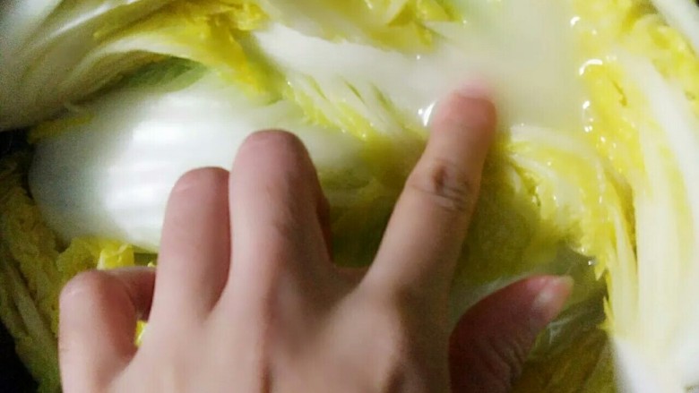 侗乡酸白菜,水差不多浸满白菜即可,不要太多。