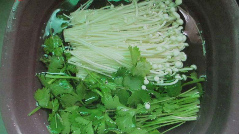 五花肉香菜卷,香菜、金针菇去根,清洗干净