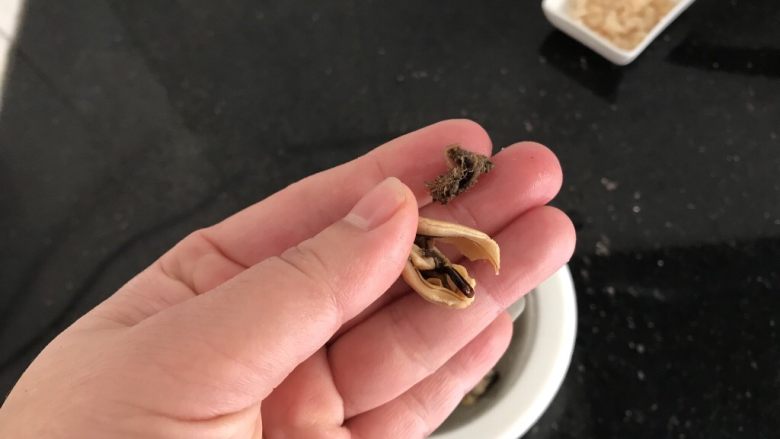 淡菜瑶柱排骨粥~健康养生靓粥,如图⬆️
