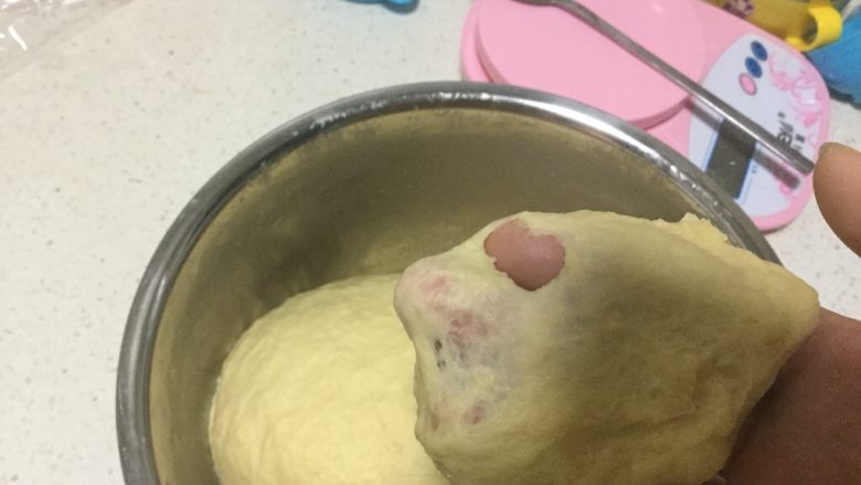中种椰香老面包&红豆面包,直到可以拉出膜来,盖上保鲜膜静等发酵,如果天气冷的话可以在锅中加水,加热到稍微烫手的程度时把面盆放进去盖好锅盖,可以缩短发酵时间,个人觉得比用烤箱快捷。