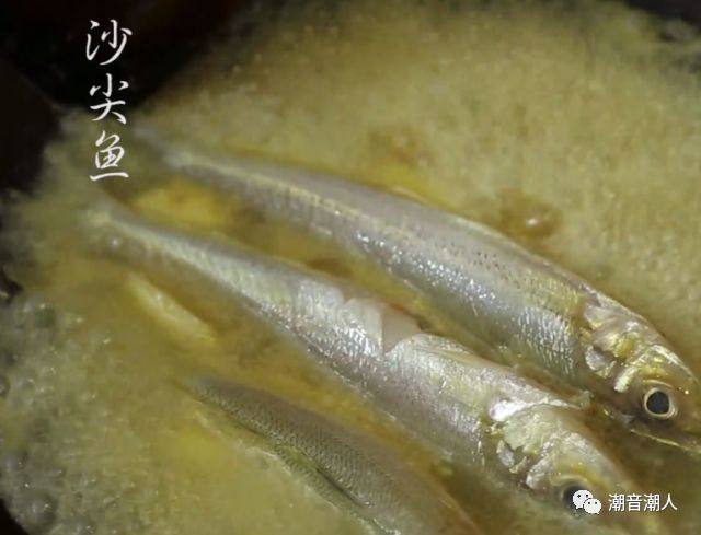 豆酱水煮沙尖鱼,❥ 待水沸腾时,放入<a style='color:red;display:inline-block;' href='/shicai/ 1440'>沙尖鱼</a>水煮,接着撒下适量的盐