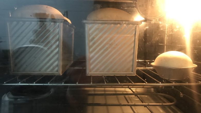 烫种全麦吐司,发酵9分满,送进提前预热好的烤箱中下层上下火170度42分钟。