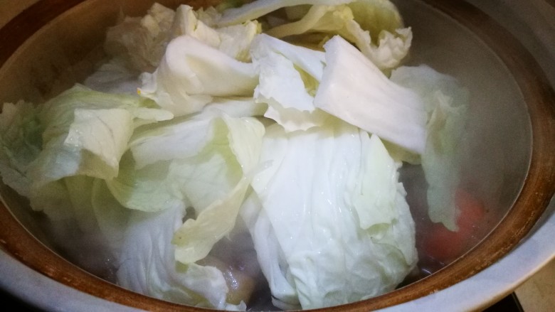 一锅炖~家常随意炖,加入白菜