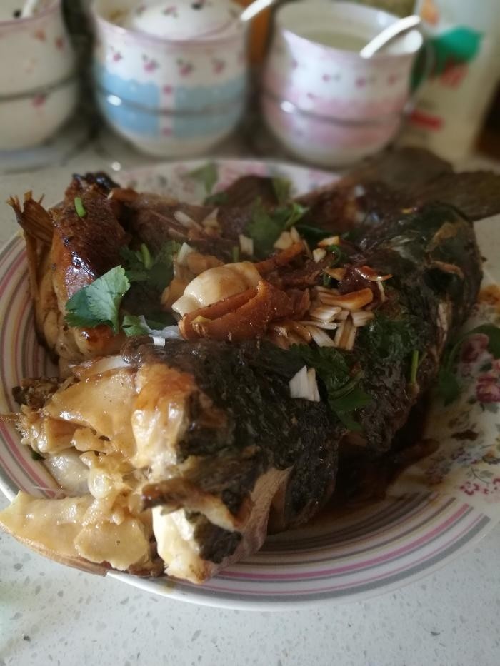 红烧鱼