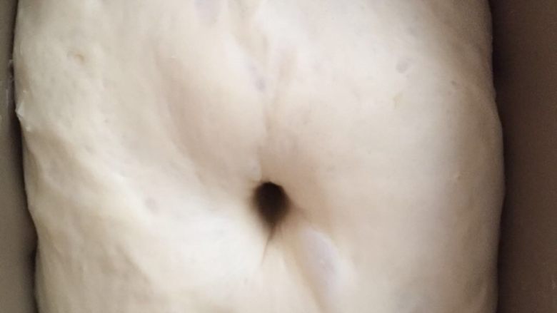 火腿杂蔬包,让面团在室温下进行基础发酵,发到2倍左右,手指戳个洞,孔不回缩就可以了