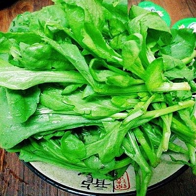 一锅炖+海鲜烩锅,鹅菜也写作蛾菜、义菜(福州方言区鹅、义同音),学名南茼蒿 也有地区叫蓬蒿、菊花菜、艾菜等,名字众多。涮锅首选的青菜✌✌✌✌✌✌