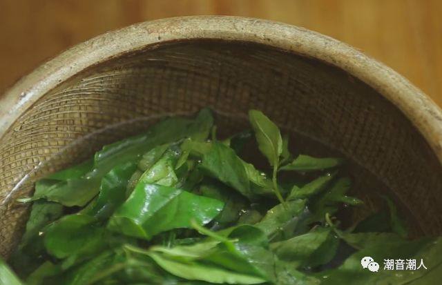 枸杞叶瘦肉汤,❥ 将摘好的枸杞叶洗干净,反复清洗3遍后,放置一旁,沥干,待用