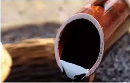 袁枚认定的天下第一“板浦醋”为何翻不了身？