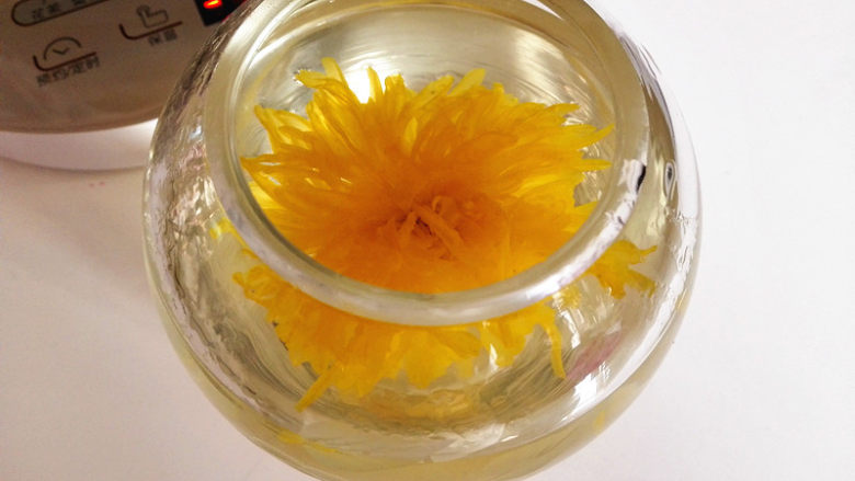沁人心脾的菊花茶,泡一会儿,菊花就会慢慢打开,