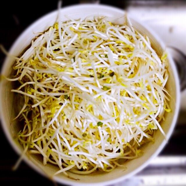 绿豆芽炒肉,<a style='color:red;display:inline-block;' href='/shicai/ 133'>绿豆芽</a>洗去绿豆壳,沥干水