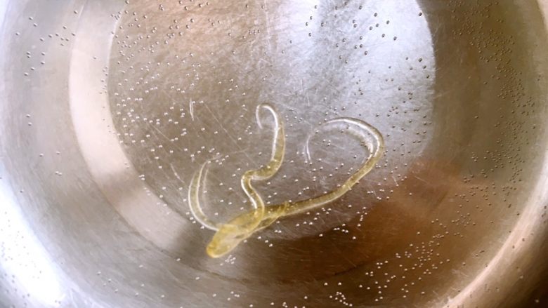 蔓越梅花生牛轧糖(麦芽糖版),滴一滴糖浆在水里,能够马上凝固成硬的糖块,用手掰一下,就能清脆的断裂成两半,这样的糖浆就是熬好的