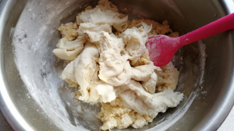 中种酸奶排包,再把中种面团用手撕成小块放进去;