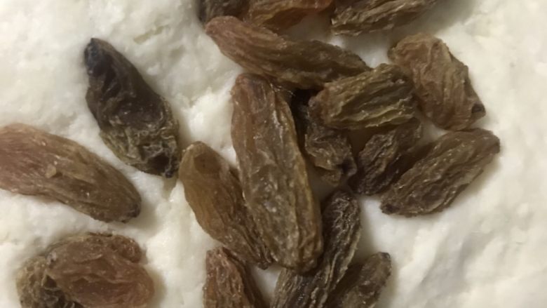 葡萄干司康,再次把面团按扁,包入葡萄干,揉圆,室温发酵一小时左右