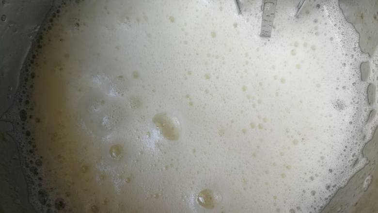 奶牛纹-肉松卷,开始打发蛋白:蛋白内滴入几滴柠檬汁或用筷子蘸几滴白醋滴进去,目的是稳定蛋白和去腥。电动打蛋器低速打发,当出现大鱼眼泡沫时加入三分之一的白糖继续打发(蛋黄糊中不用放白糖,方子内白糖全是蛋白内放的)