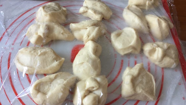 浓郁小牛奶餐包,发酵好的面团,稍排气,分成14等份