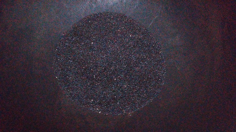 立夏沱,把芝麻放锅里开小火炒熟!芝麻很容易熟,炒一两分钟即可出锅!
