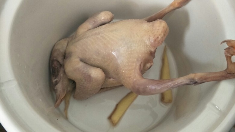 滋补乳鸽汤,把焯过水的鸽子放入电炖锅或者砂锅,加入几片姜片