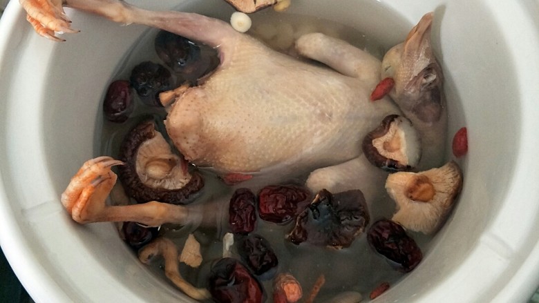 滋补乳鸽汤,加入适量水,盖上盖子炖三个小时