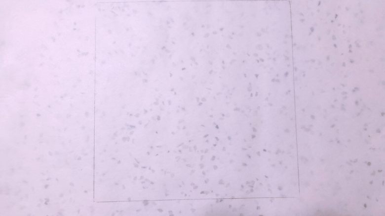 美味脏脏包,准备油纸,用可食用铅笔画正方形方块,没有特别要求,类似正方形就可以,图上画的是17x17cm