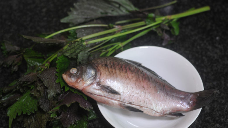 紫苏砂锅鲫鱼蒸,食材准备好,<a style='color:red;display:inline-block;' href='/shicai/ 377'>鲫鱼</a>宰杀处理干净