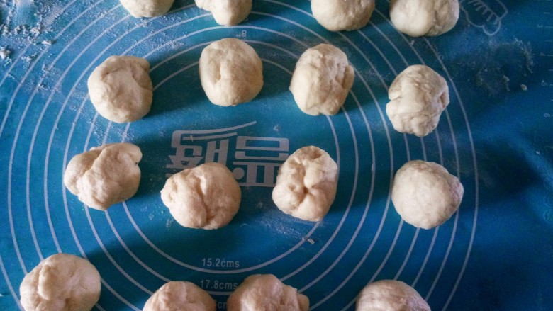 蔓越莓牛奶卷,发好的面团拿出来揉一揉排气,分割成大小一致的16个小团。