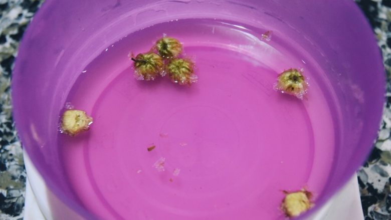 止咳清肺-杭白菊金枣果凝,将杭白菊用开水冲泡,杭白菊茶汤等一下还有大用处,杭白菊也别扔也有大用处