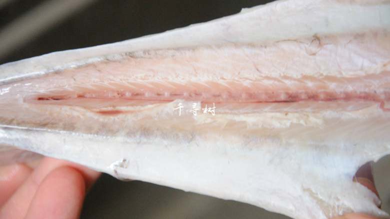 红烧带鱼最经典最家常的做法 可当热菜也可是冷盘 味道都一样好,把带鱼腹部剖开,取出污物,鱼鳃剪掉,鱼身体里那层黑膜还有鱼骨上污物是鱼腥味的主要来源,所以一定要洗干净。