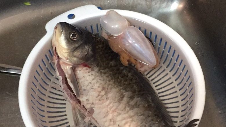 鲫鱼豆腐汤,把鱼洗干净。
