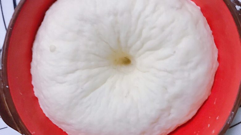 肥美小蜜蜂椰蓉包,醒发好的面团用手戳不回缩也不凹陷,里面布满蜂窝状。