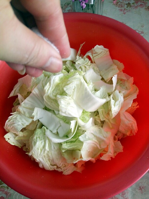 韩式辣白菜,接下来我们来腌制白菜,在白菜上面撒入适量的盐,大概8克左右,翻拌几下,更有助于白菜去除水份,做出来的辣白菜更有味道。然后放到冰箱里面腌制至少24小时。在此过程中要记得每隔几个小时翻一翻白菜。