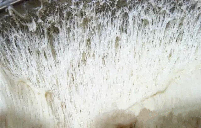 酸奶老面包-可以拉丝的面包,轻轻拨开盆壁的面团,发现里面布满了细密的气泡,面团呈现拉丝状的组织。