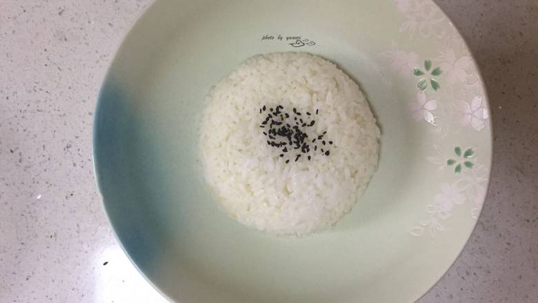 卤肉饭,盘中装入<a style='color:red;display:inline-block;' href='/shicai/ 507'>米饭</a>、少许芝麻点缀