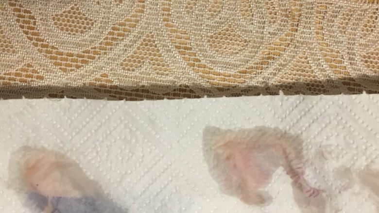 奥尔良烤鸡翅,吸去鸡翅多余水分