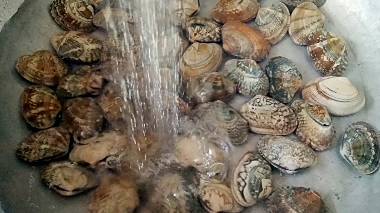 酒蒸蛤蜊――快手复刻美味,买回的花蛤用淡盐水浸泡一下,洗净后沥水捞出装在盘中。