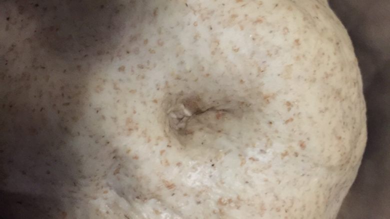 全麦红糖软欧包,半小时后取出,体积约为原面团的1.5倍大,用手指轻戳中间,不回缩也不塌陷