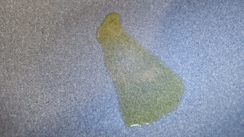 多彩杏鲍菇,起锅加入少许食用油，烧热