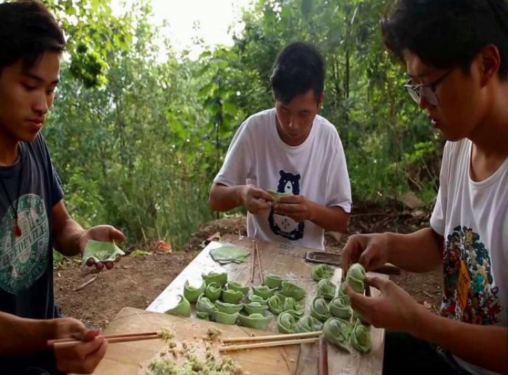 《野居青年》活捉一只猫头鹰，菠菜汁和面做一碗纯天然绿色饺子