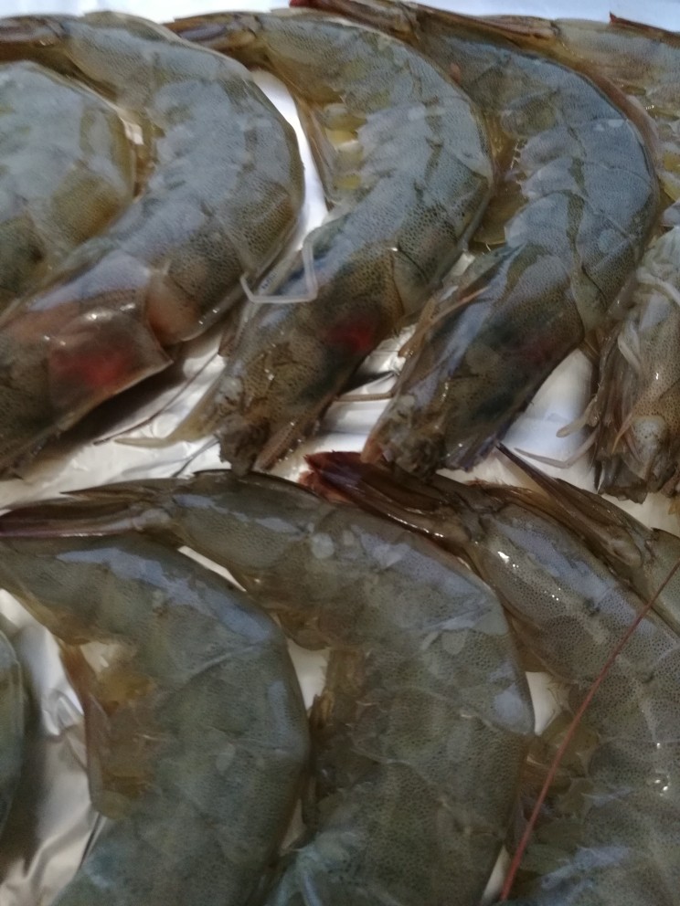 烤虾,烤盘铺上锡纸,将虾均匀地摆到锡纸上,