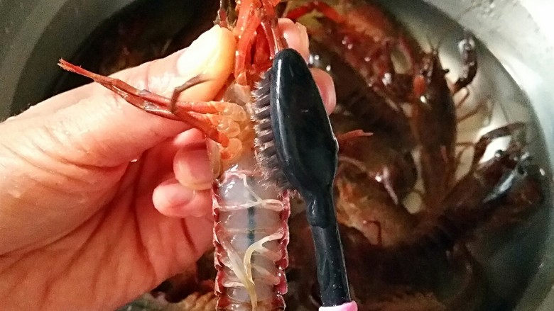 麻辣小龙虾,捏住小龙虾的背部和两个钳子,放在水龙头下,用小刷子(牙刷就行)用力把虾表面刷洗干净,一边刷着一边冲着。(虾腹和龙虾钳拐弯的地方最容易最容易藏污纳垢,要好好清理一下)