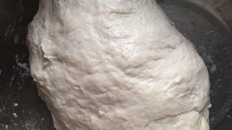 猪肉粉条大葱包子,搅拌差不多再用手去揉,盖好开始发酵。
